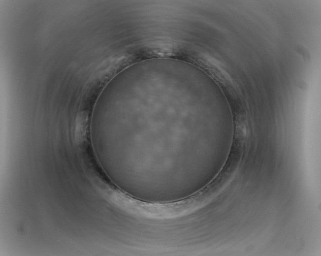 X0000113230030200909101220
