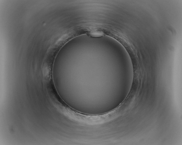 X0000113230031200909101220