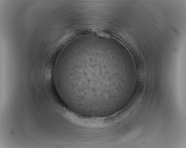 X0000113230032200909101220