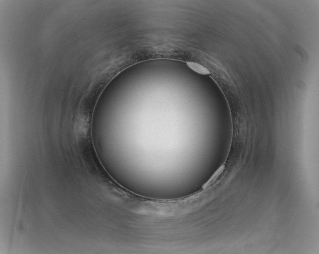 X0000113230033200909101220