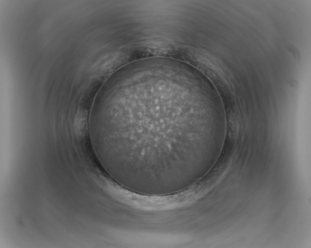 X0000113230034200909101220