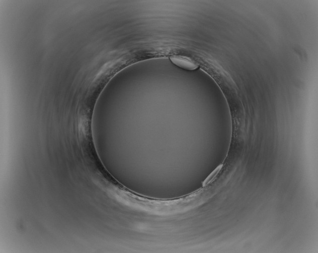 X0000113230035200909101220