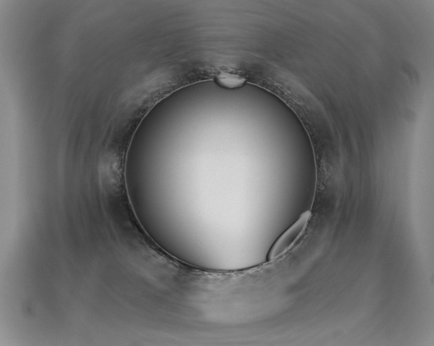X0000113230037200909101220