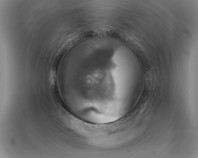 X0000113230038200909101220