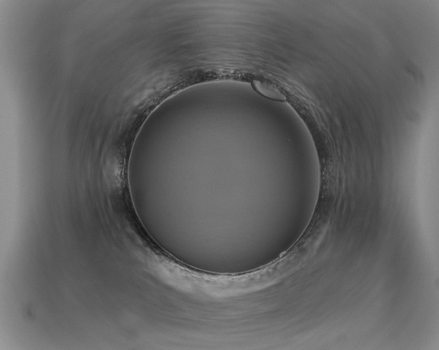 X0000113230039200909101220
