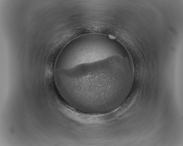 X0000113230040200909101220