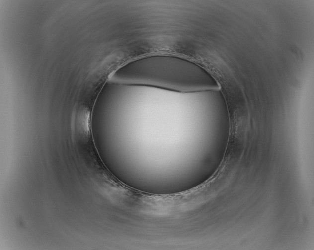 X0000113230041200909101220