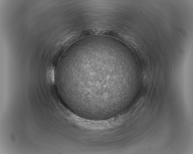 X0000113230042200909101220