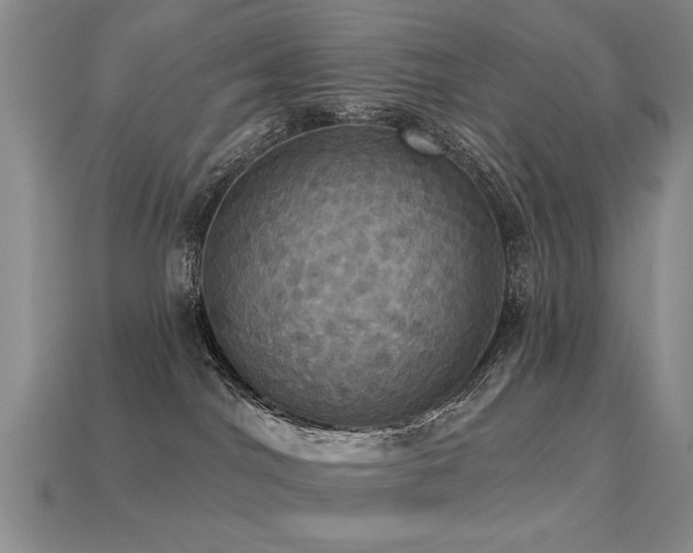 X0000113230044200909101220
