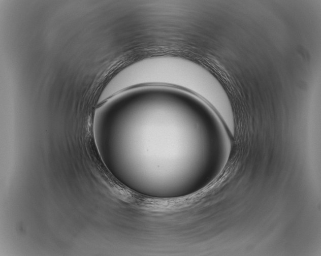 X0000113230045200909101220