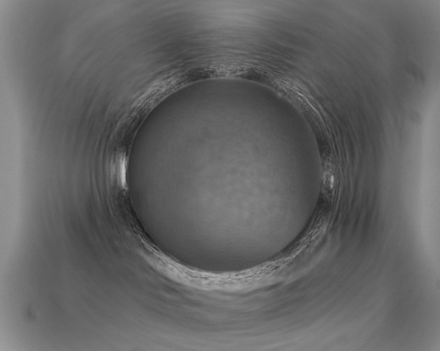 X0000113230046200909101220