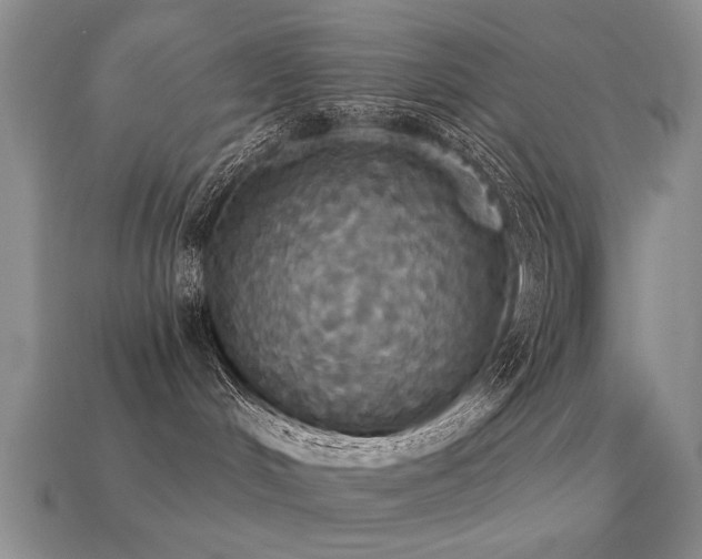 X0000113230048200909101220