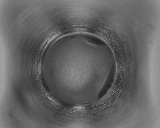 X0000113230050200909101219