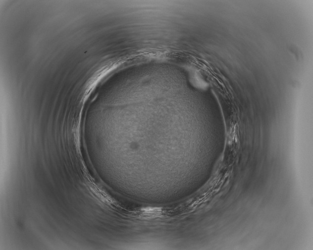 X0000113230052200909101219