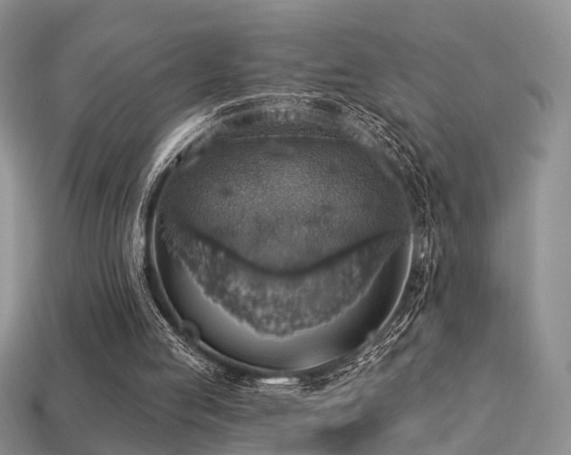 X0000113230053200909101219