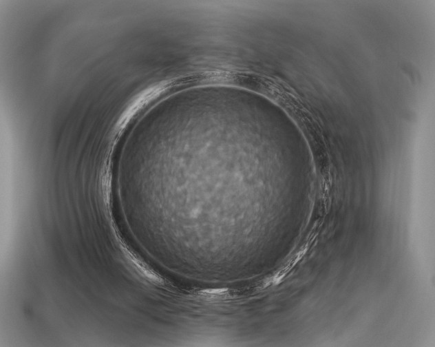 X0000113230054200909101219