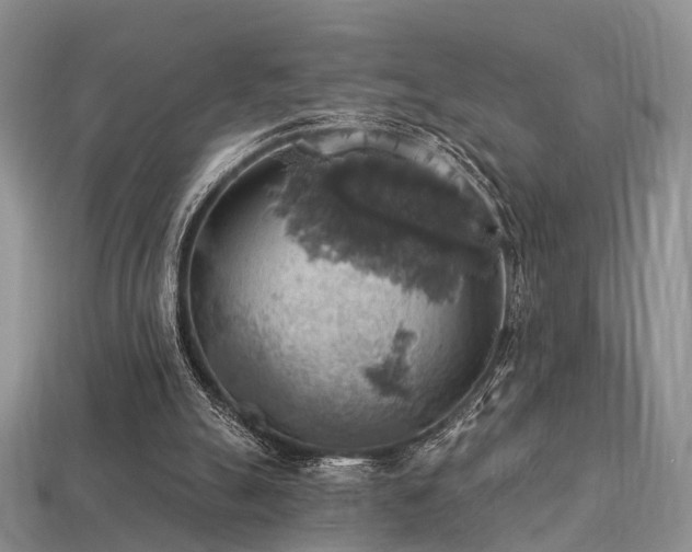 X0000113230055200909101219