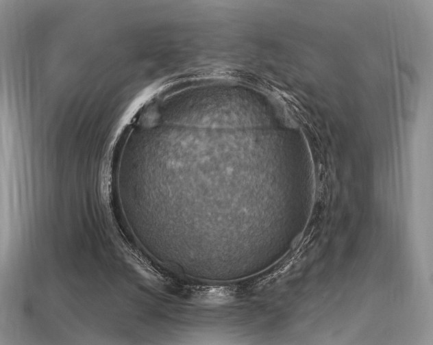 X0000113230056200909101219