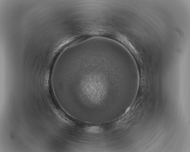 X0000113230058200909101219