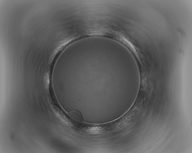 X0000113230059200909101219
