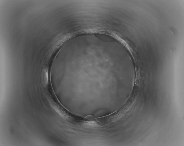 X0000113230061200909101219