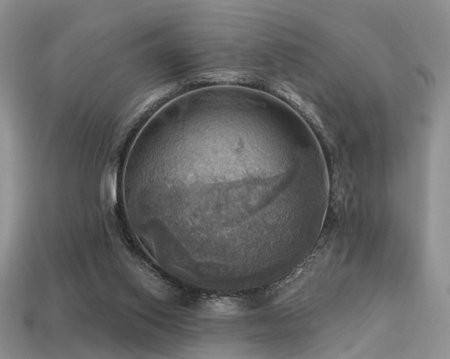 X0000113230062200909101220