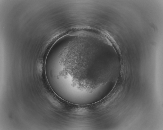 X0000113230063200909101220