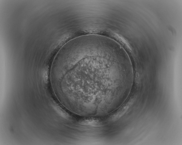 X0000113230065200909101220