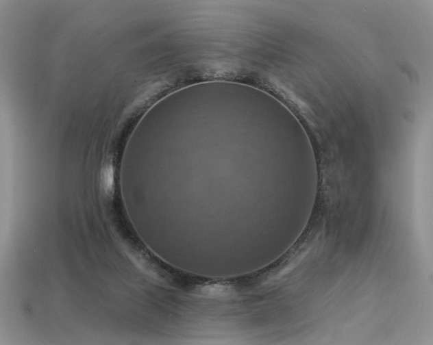 X0000113230067200909101220