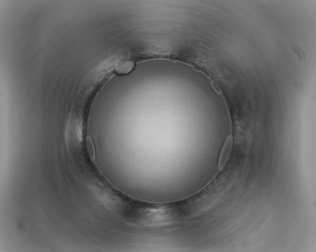 X0000113230068200909101220