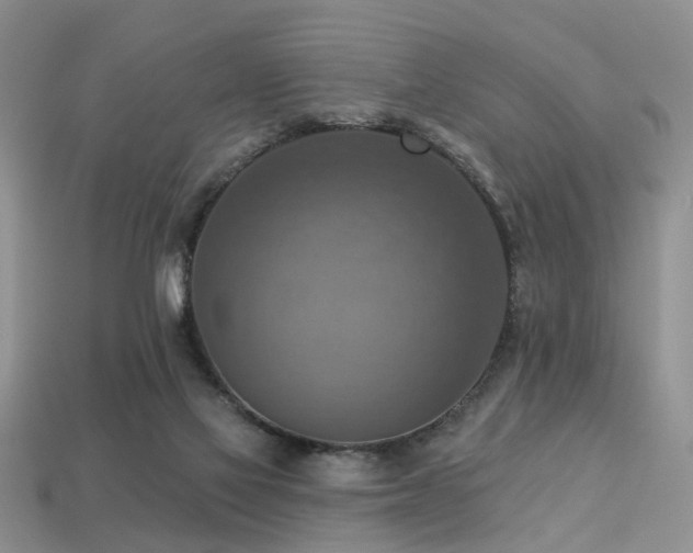 X0000113230069200909101220