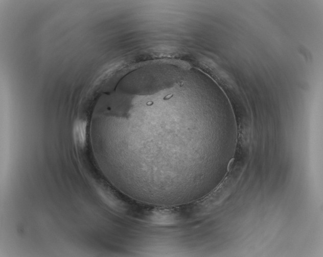 X0000113230070200909101220