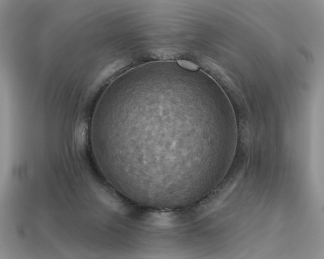X0000113230071200909101220