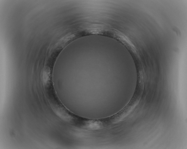 X0000113230073200909101220