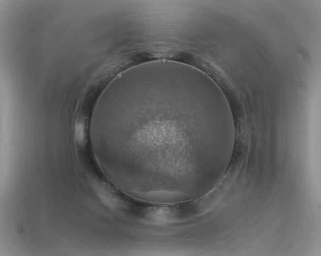 X0000113230074200909101220