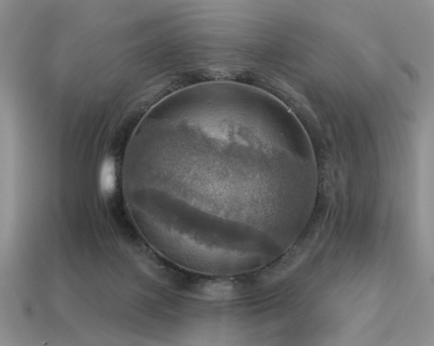 X0000113230075200909101220