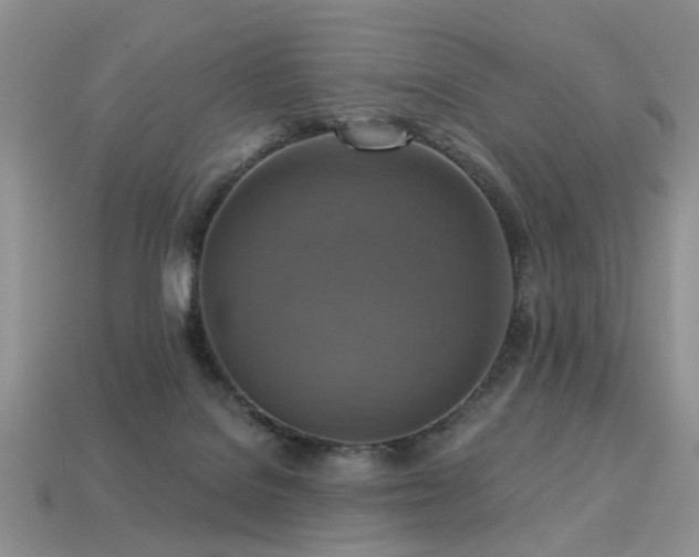X0000113230076200909101220