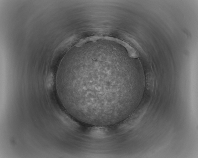 X0000113230077200909101220