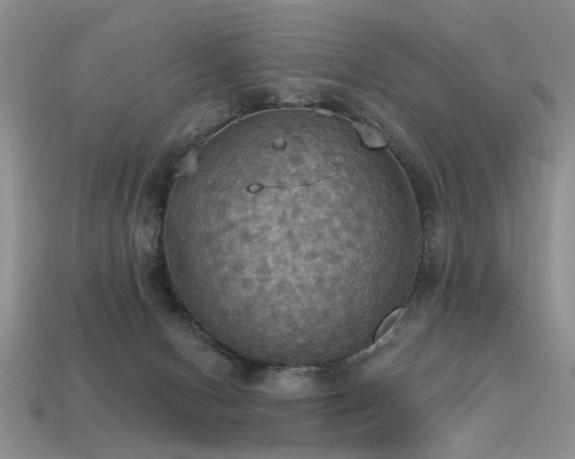 X0000113230078200909101220