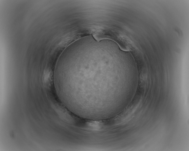 X0000113230079200909101220