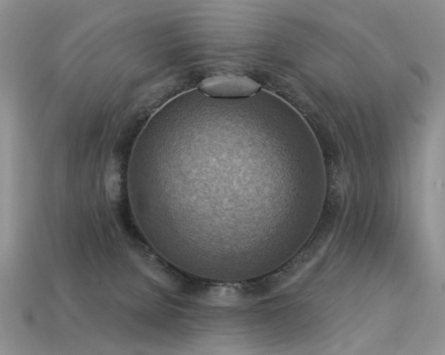 X0000113230080200909101220