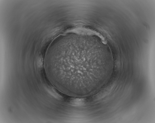 X0000113230081200909101220