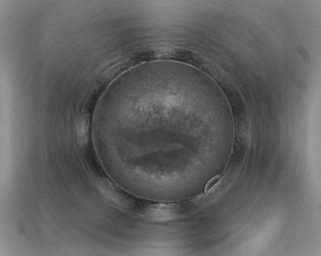 X0000113230082200909101220