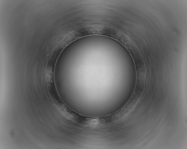 X0000113230083200909101220
