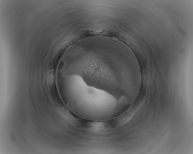 X0000113230085200909101220