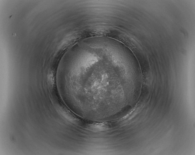 X0000113230086200909101220