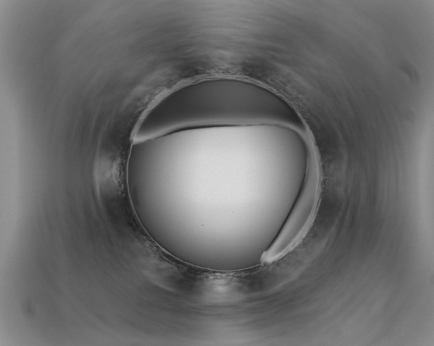X0000113230088200909101220
