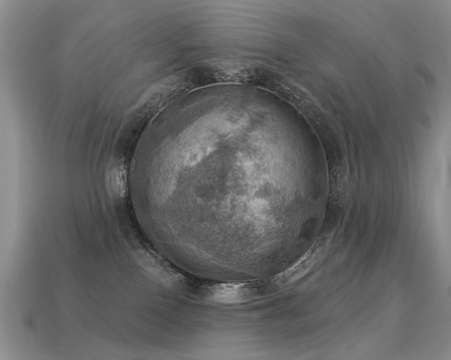 X0000113230090200909101220