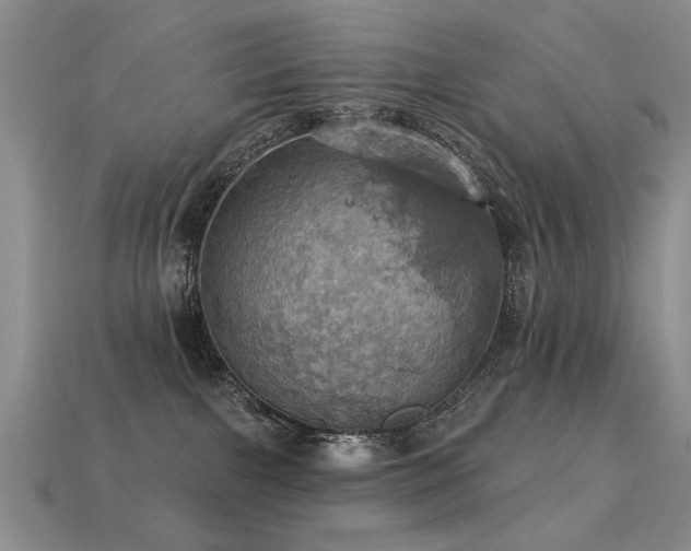 X0000113230091200909101220