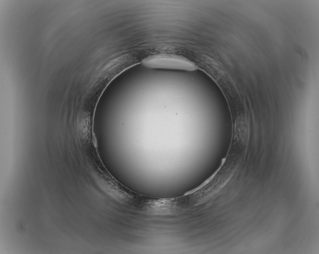 X0000113230092200909101220